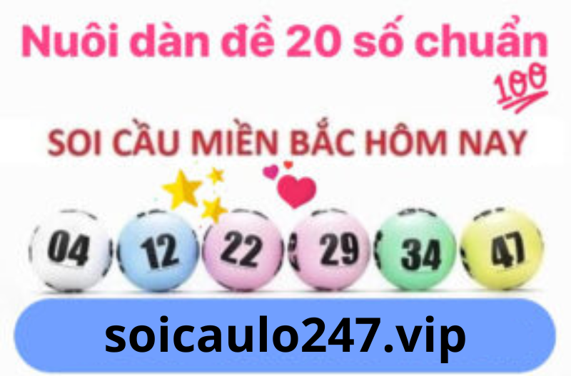 soicaulo247.vip