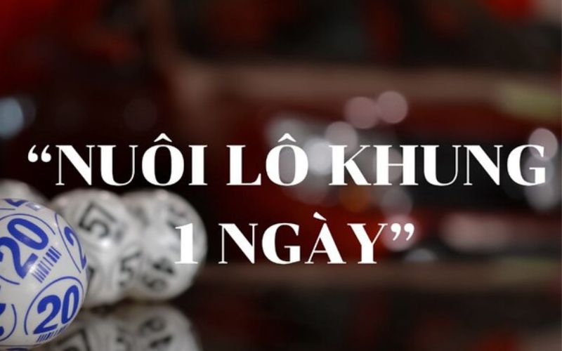 Tổng Quan Về Lô Khung 1 Ngày