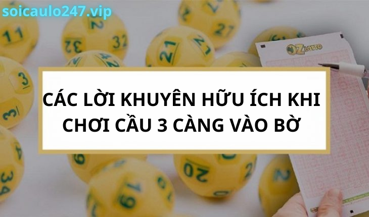 Các lời khuyên hữu ích khi chơi cầu 3 càng vào bờ