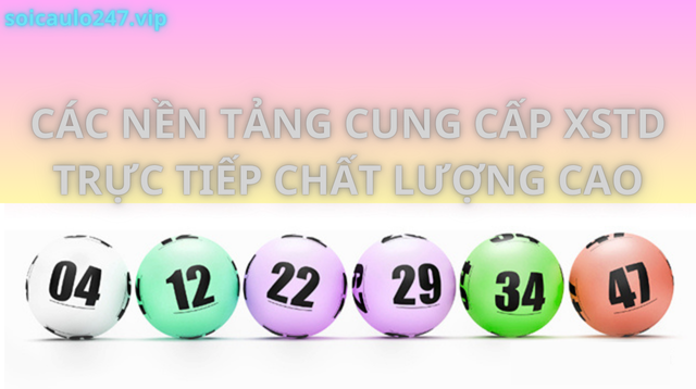 Các Nền Tảng Cung Cấp Xstd Trực Tiếp Chất Lượng Cao